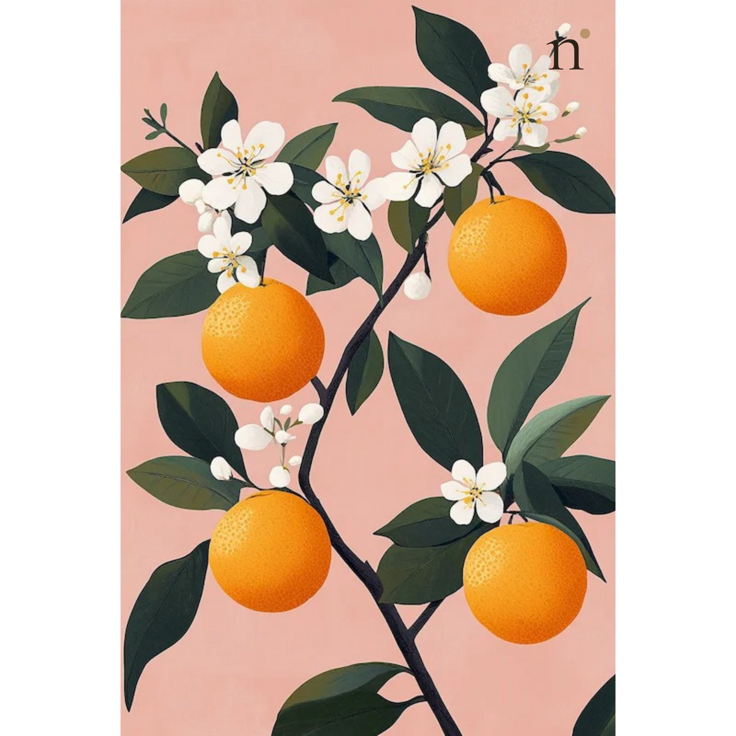 Orange Blossom — Paint by Numbers