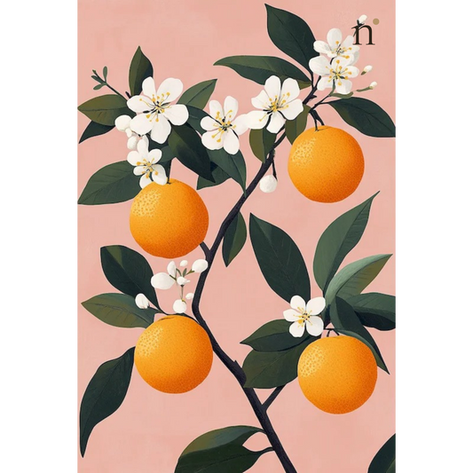 Orange Blossom — Paint by Numbers
