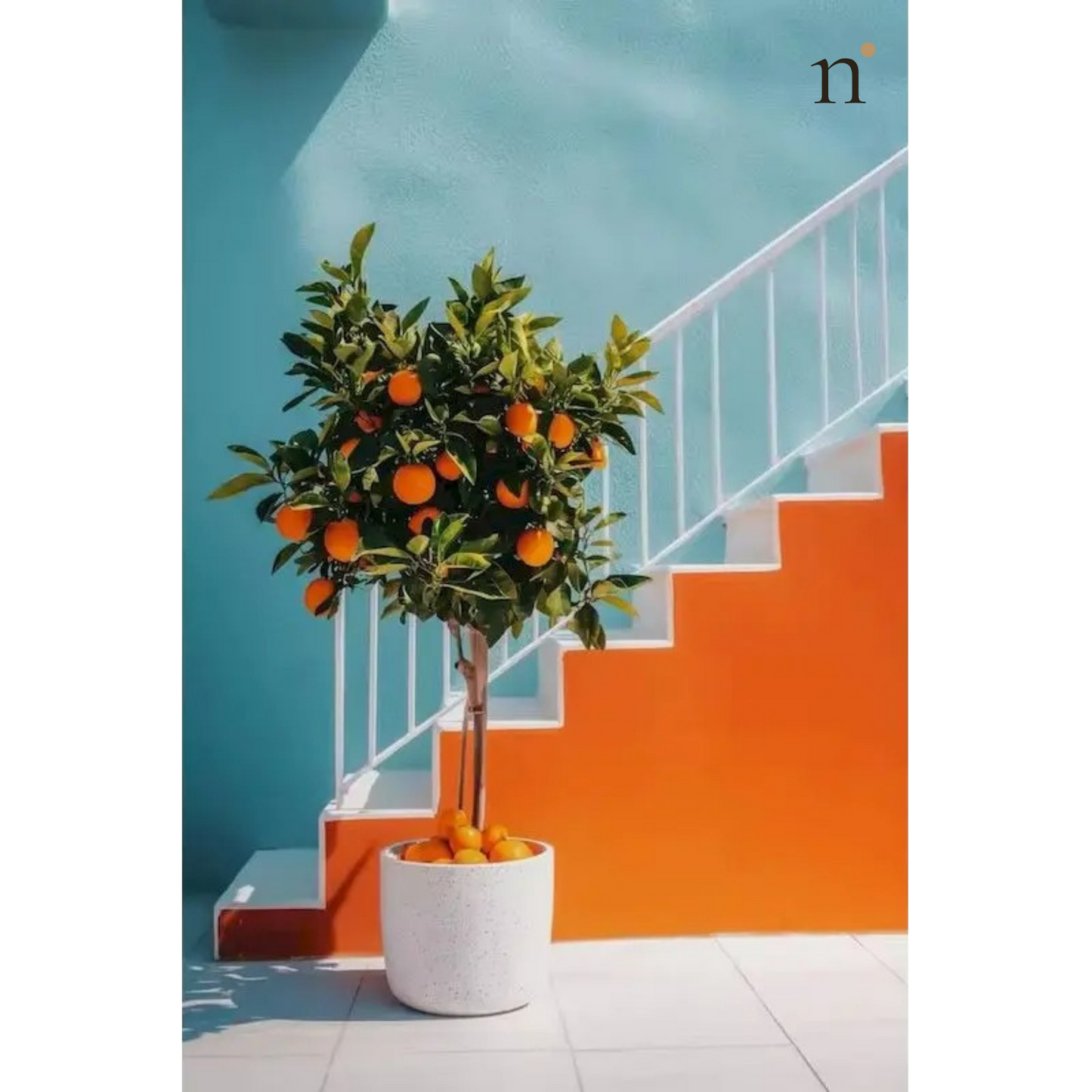 Orange Steps — Paint by Numbers