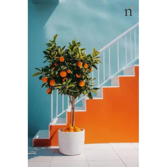 Orange Steps — Paint by Numbers